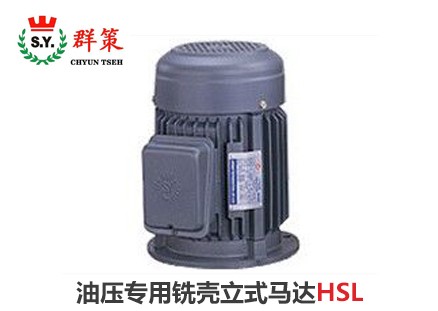 群策電機(jī)_油壓專用銑殼立式馬達(dá)HSL